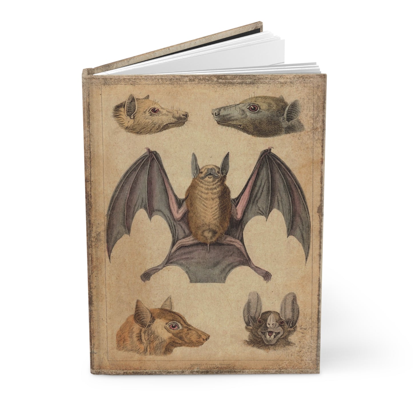 Vintage Bats Matte Hardcover Journal