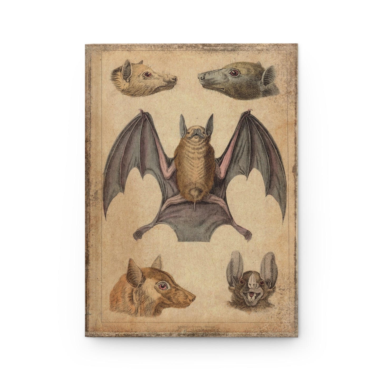 Vintage Bats Matte Hardcover Journal