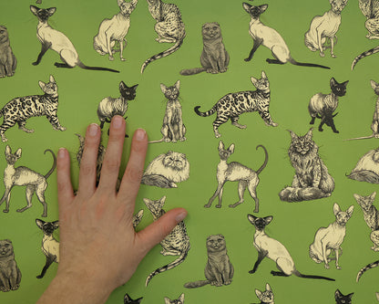 Illustrated Cat Breeds on Green Wrapping Paper 3 Sheet Roll