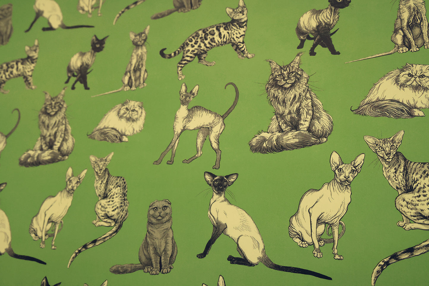 Illustrated Cat Breeds on Green Wrapping Paper 3 Sheet Roll