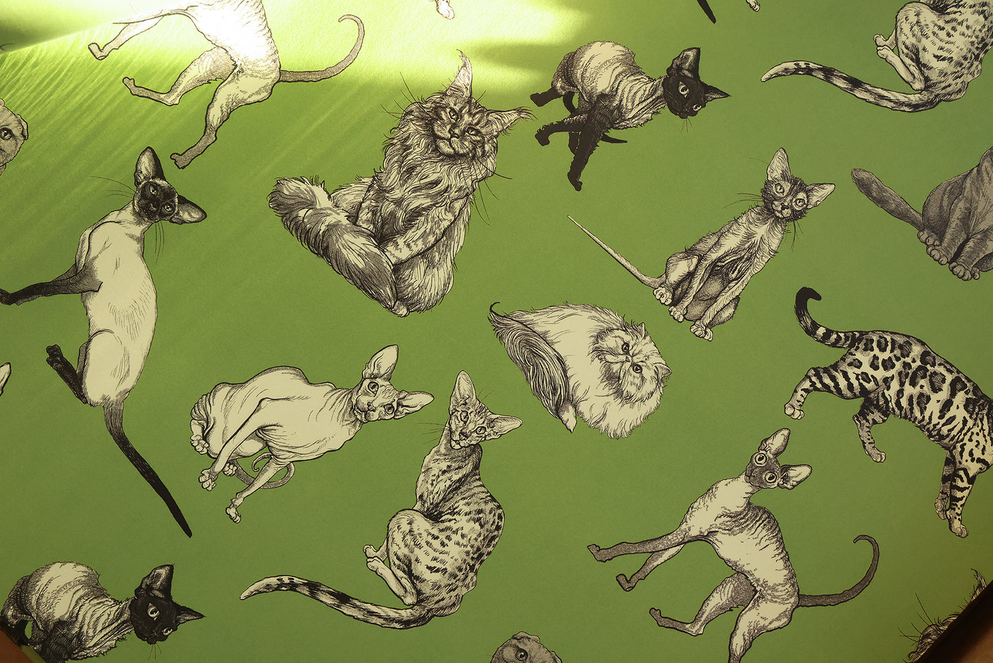 Illustrated Cat Breeds on Green Wrapping Paper 3 Sheet Roll